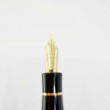 Conway Stewart Marble Brown Fountain Pen for Fountain Pen Hospital's 60th Anniversary #48 of 60 Pens- Fine 18kt Gold Nib - Cap Bands & Clip are 18kt Gold