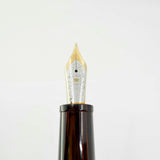 Stipula Novecento Woodgrain Ebonite Fountain Pen - Medium 18kt Gold Nib