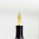Montblanc Fyodor Dostoevsky Writer Series Limited Edition Fountain Pen - Medium 18kt Gold Nib