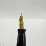 Visconti Copernicus Burgundy Celluloid Limited Edition Fountain Pen   - Medium 18kt Gold Nib