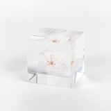 Sola Cubes - Sakura (Cherry Blossom)